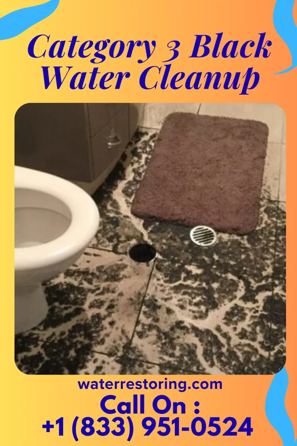 Category 3 Black Water Cleanup in Medina, TN