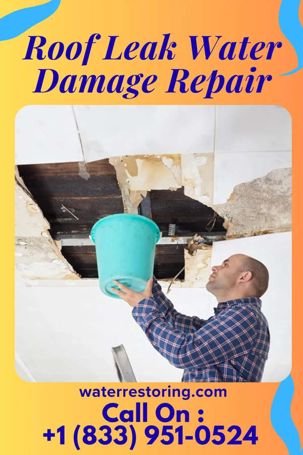Roof Leak Water Damage Repair in Medina, TN