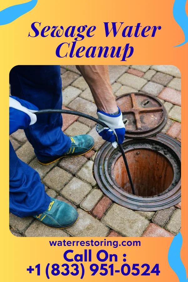 Sewage Water Cleanup in Medina, TN